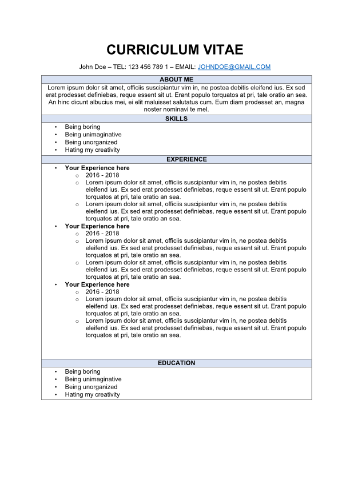 Boring CV that a recruiter might receive